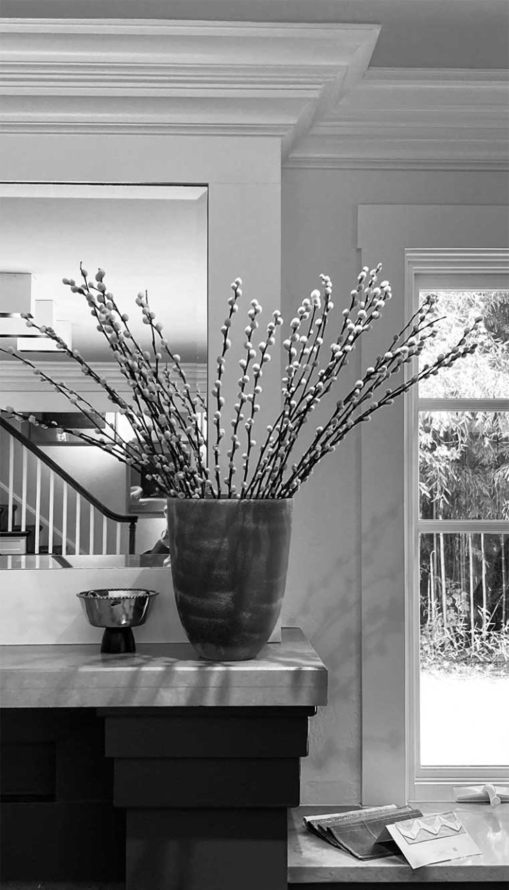 Black and white photo of a cotton plant on a counter